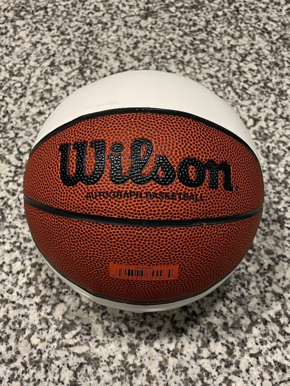 Wilson Autograph Signature Basketball